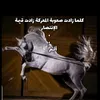 ahahz120