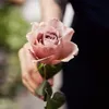 karma.shaban