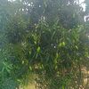 dinesh.kahar88