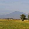 agungdwi_rhy8183