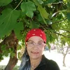 carmen.pino247