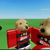 samu.org1