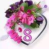 shahin.khan710