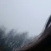 nllivxx