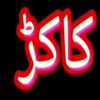 muzamilkhanpanexa