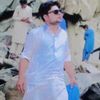 alisheer8236