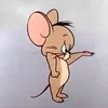 xin.haysuy