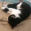 rainhadoflop1234