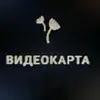 vidiocard
