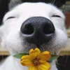 zaxkzackbanner13