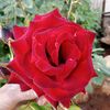 abdo_22111