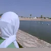 mareamnono