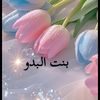 fofo77085