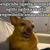 thandimdluli198