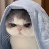 IW小保姆77