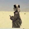 ابو سند الكربي