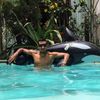 alih.lopez7