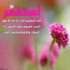youssef.younis1719