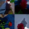 ilef__roui