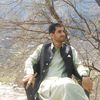 hussnain.bukhari