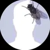 callmegboy0