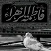 za.a65