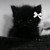 skbsnwm