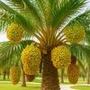 hamza10593