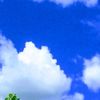 rio_official050