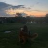 bribri_33