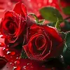 user8863698196140
