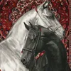 soukainaer123