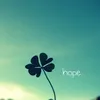 phuong.tran1041