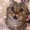 yum_853