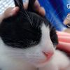 lagatita.kitty