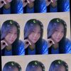 spthv_dynie