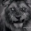 .ll.by.togul.50.llll6
