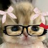laura.caterin.luj