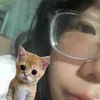 pnhphuong35