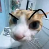 tung_cr3