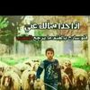 user6780053802726