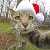 maksim_gramm