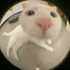 quyngnhu_