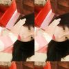 citsukaisalll