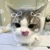 natharikaaa_zx