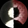 irix2077