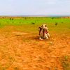 jedou.emane
