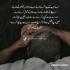 user7875886290625