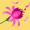 fauzia.najmi