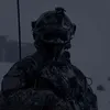 swierk_4
